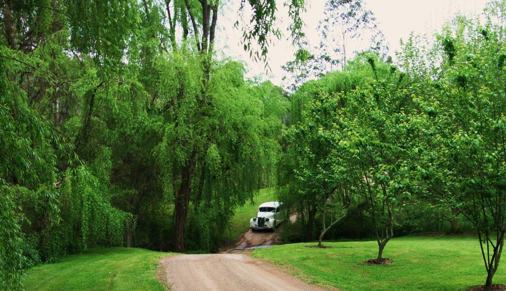 Вилла Cedars Mount View (Adults Only) Экстерьер фото